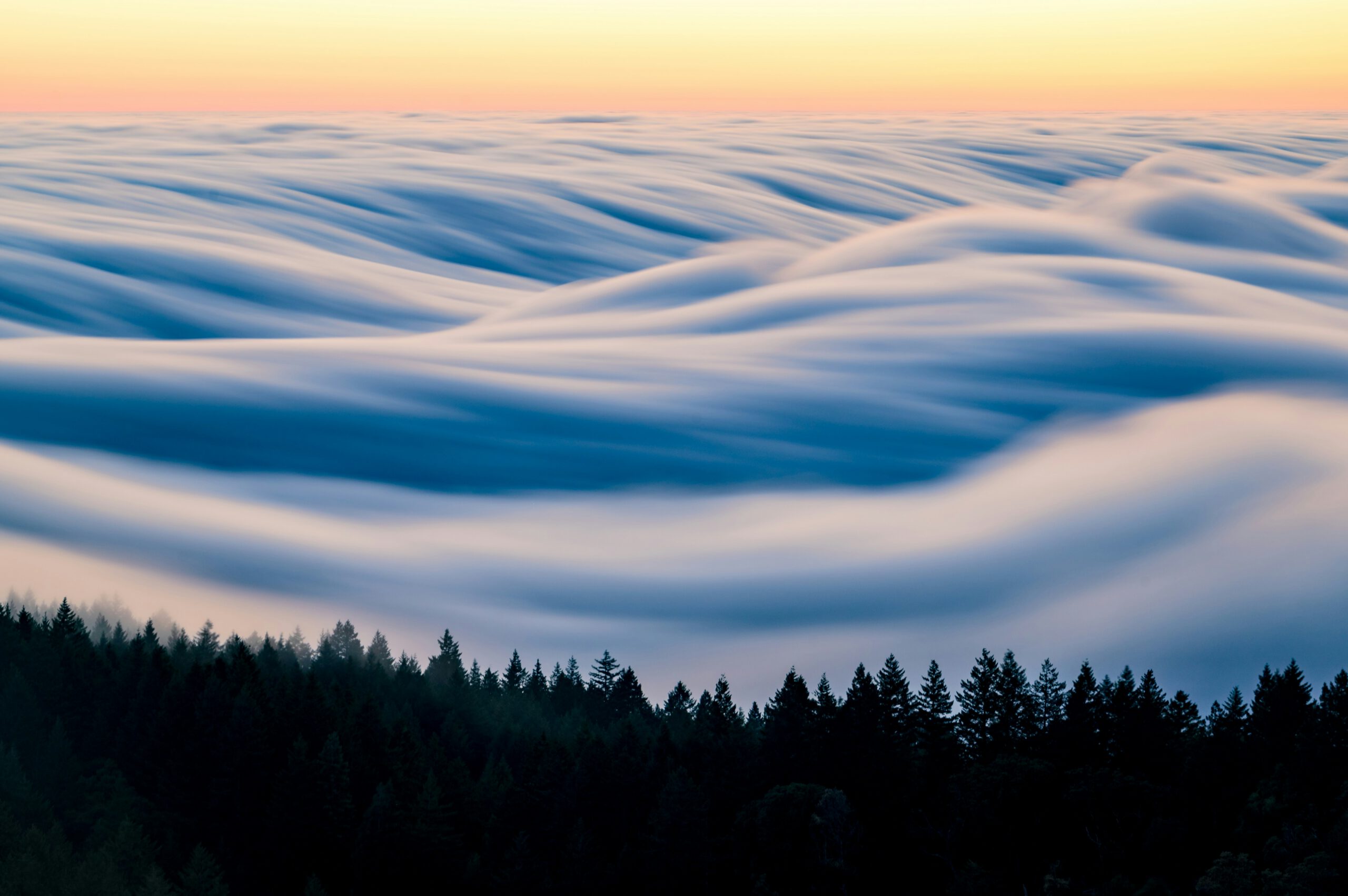 placeholder1013 scaled