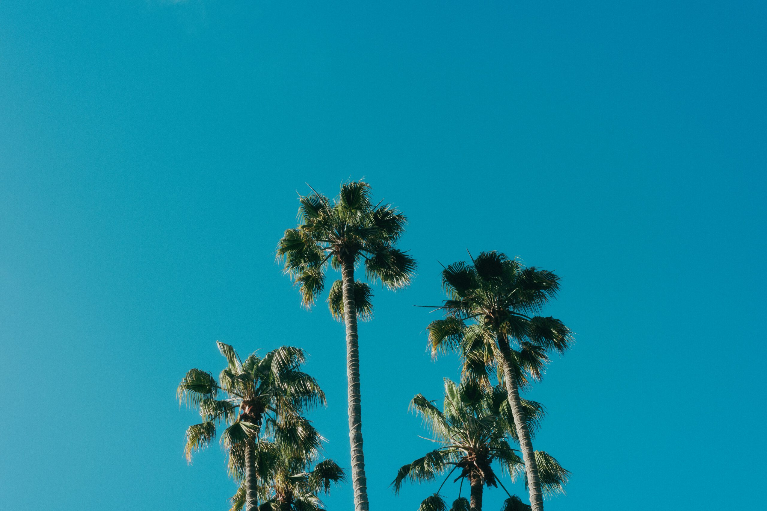 placeholder1015 scaled